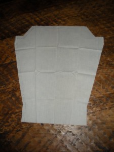 Muslin sleeve of the Pseudo-Sweater