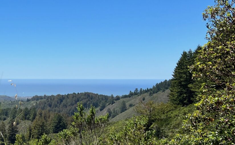 The view of the green rolling hills of Purisima Creek Preserve looking toward the Pacific Ocean. It's a clear blue day, with just a hint of fog out over the ocean.
